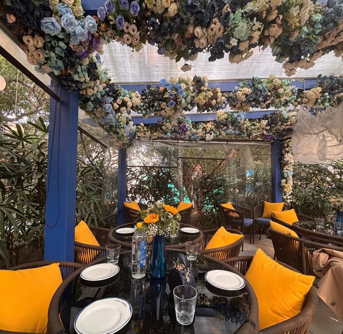 Best Pet Friendly Restaurants Near Me 🍽️ | EazyDiner