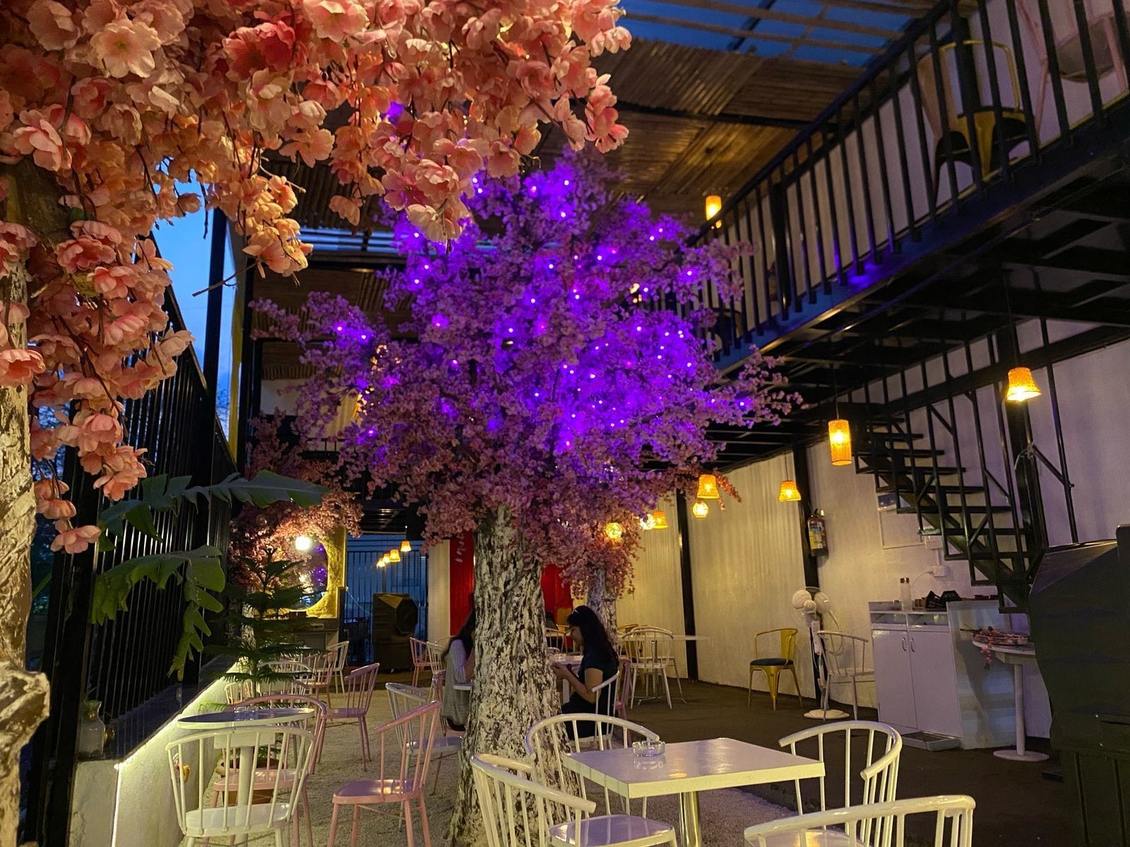 Coco Tree in Scheme No 54, Indore | Get Upto 50% Off