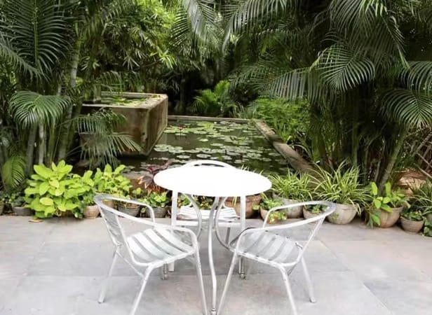 Wild Garden Café at Amethyst
