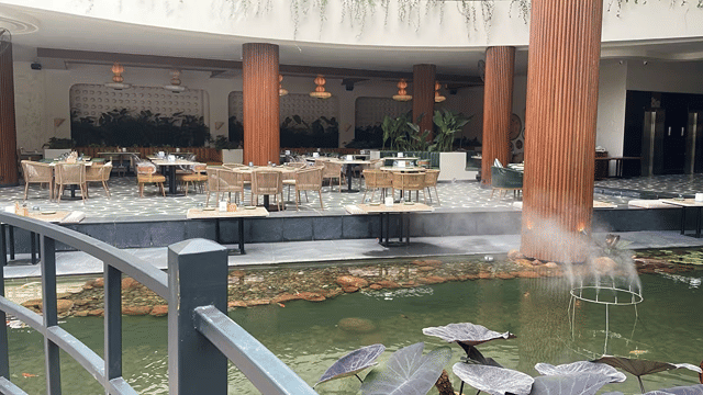 Suka Brew & Kitchen