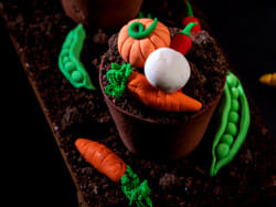 food image