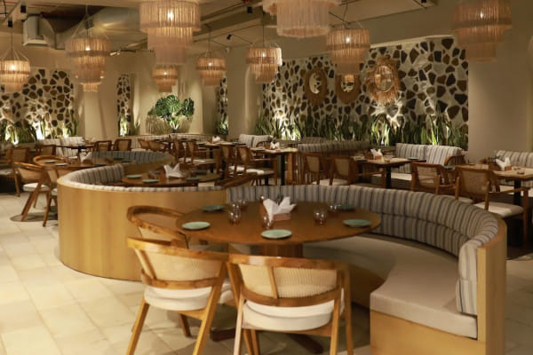 Thyme & Whisk, Koregaon Park, Pune
