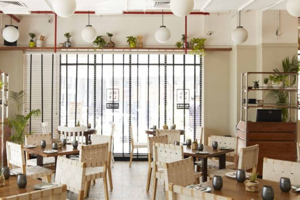 Olly- Olive's All Day Cafe & Bar, Cyber Hub, Gurgaon