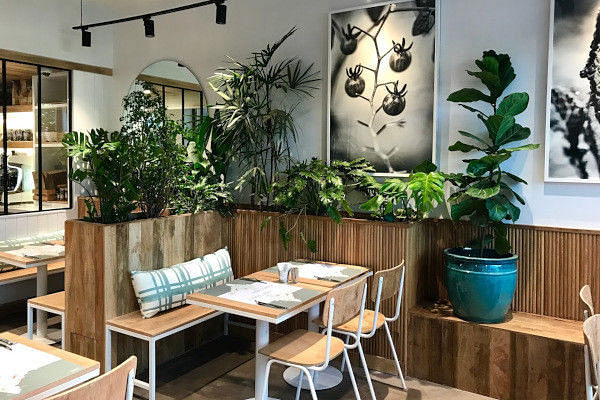 Kitchen Garden By Suzette, Bandra Kurla Complex (BKC), Western Suburbs