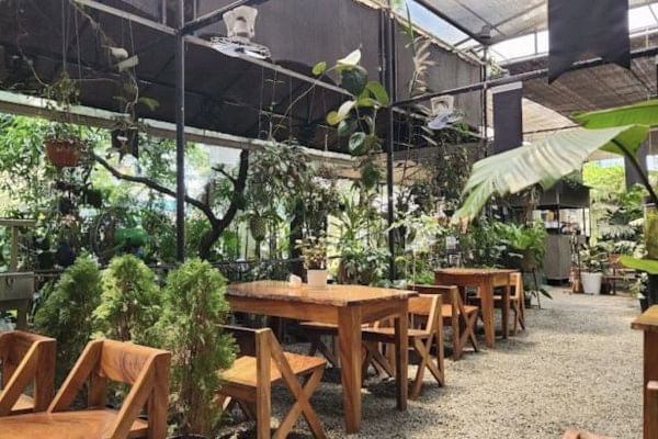 Fress Trees Garden & Cafe, Edappally, Kochi