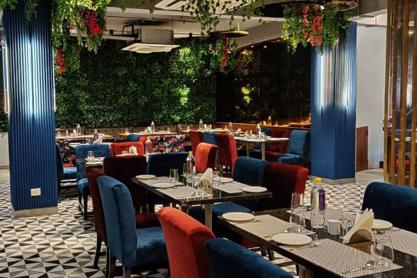 The Salt Cafe Kitchen & Bar, Preet Vihar, East Delhi