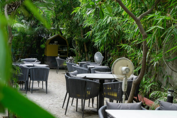 Ingri at Museo, DLF Phase 4, Gurgaon