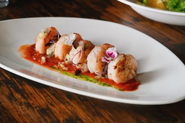 Gazpacho di Gamberi, The Pasta Bowl Company