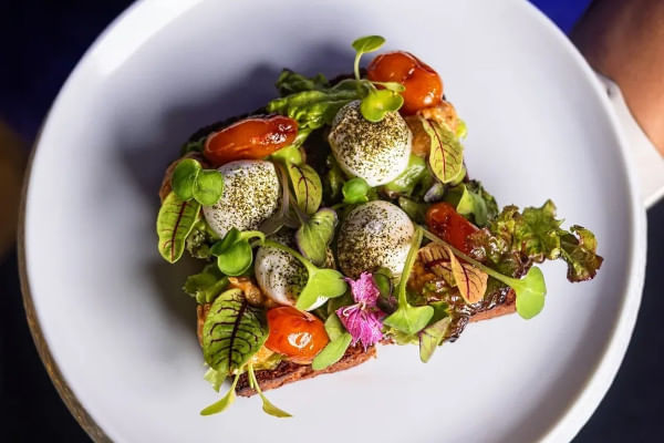 Nordic Garden Smorrebrod, Torte - Modern European Kitchen, Gurgaon