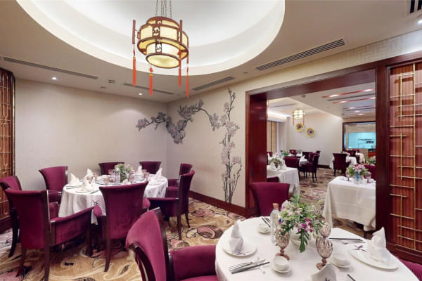 Ni Hao, Radisson Blu Hotel, Nagpur