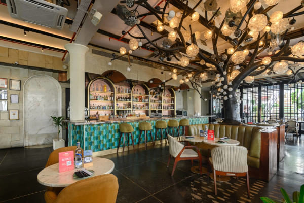 Zylo by Kakapo, Mehrauli, South Delhi