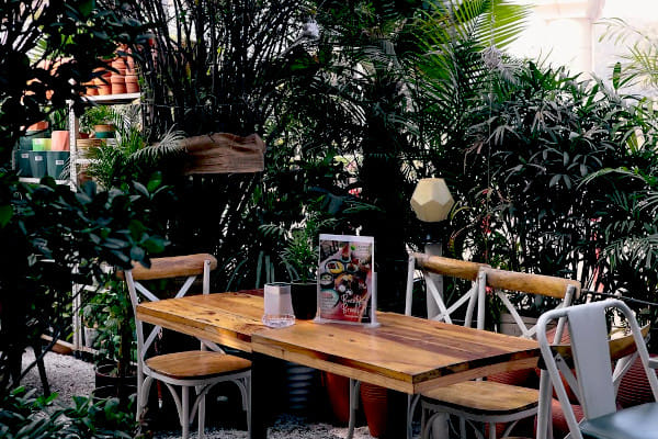 Garden Lovers Botanical Boutique & Cafe, MGF Plaza Mall, Gurgaon