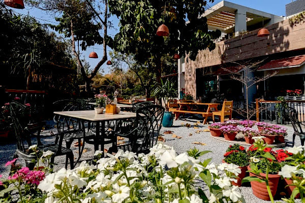 Under The Neem, Sector 80, Gurugram, Delhi NCR