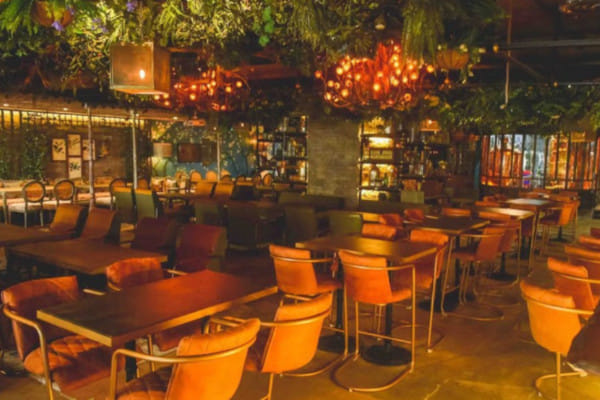 The Drunken Botanist, DLF Cyber City, Gurgaon