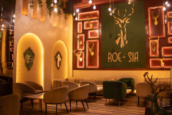Roesia Bar Brewery Modern Kitchen, AIPL Joy Street, Sector 66, Gurgaon
