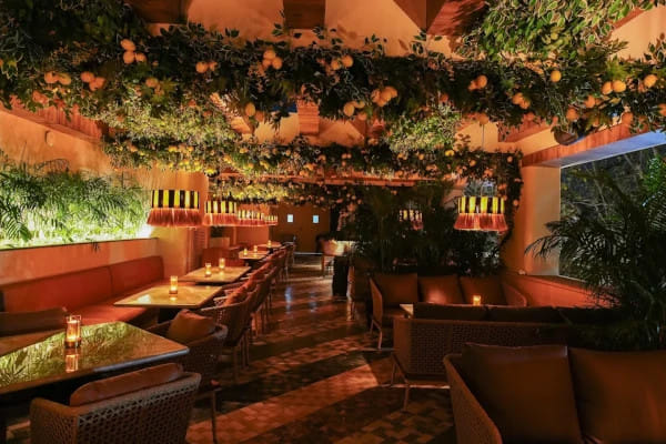 Mestizo, Vasant Vihar, South Delhi