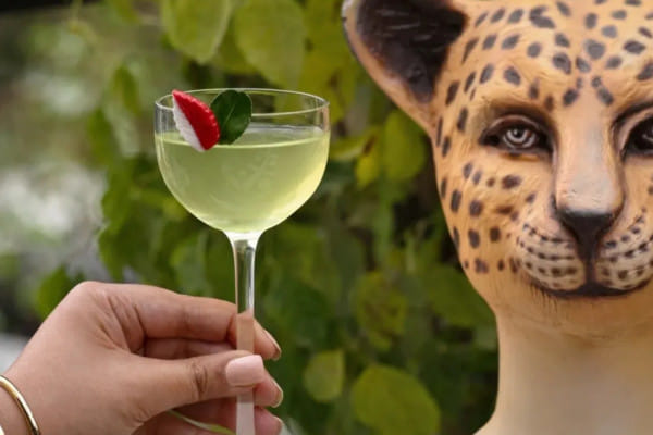 Pandora’s Box, D Dion Qutab Institutional Area, South Delhi