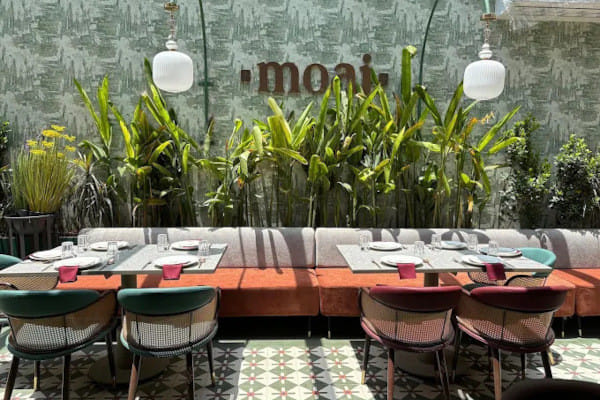 Moai - Redefined Vegetarian Dining, Jayanagar, South Bengaluru