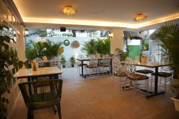 Matcha Brew & Bake, Koregaon Park, Pune