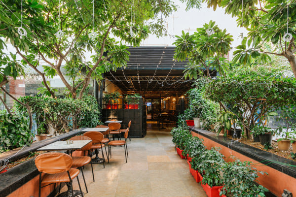 Coffee Sutra, C Scheme, Jaipur